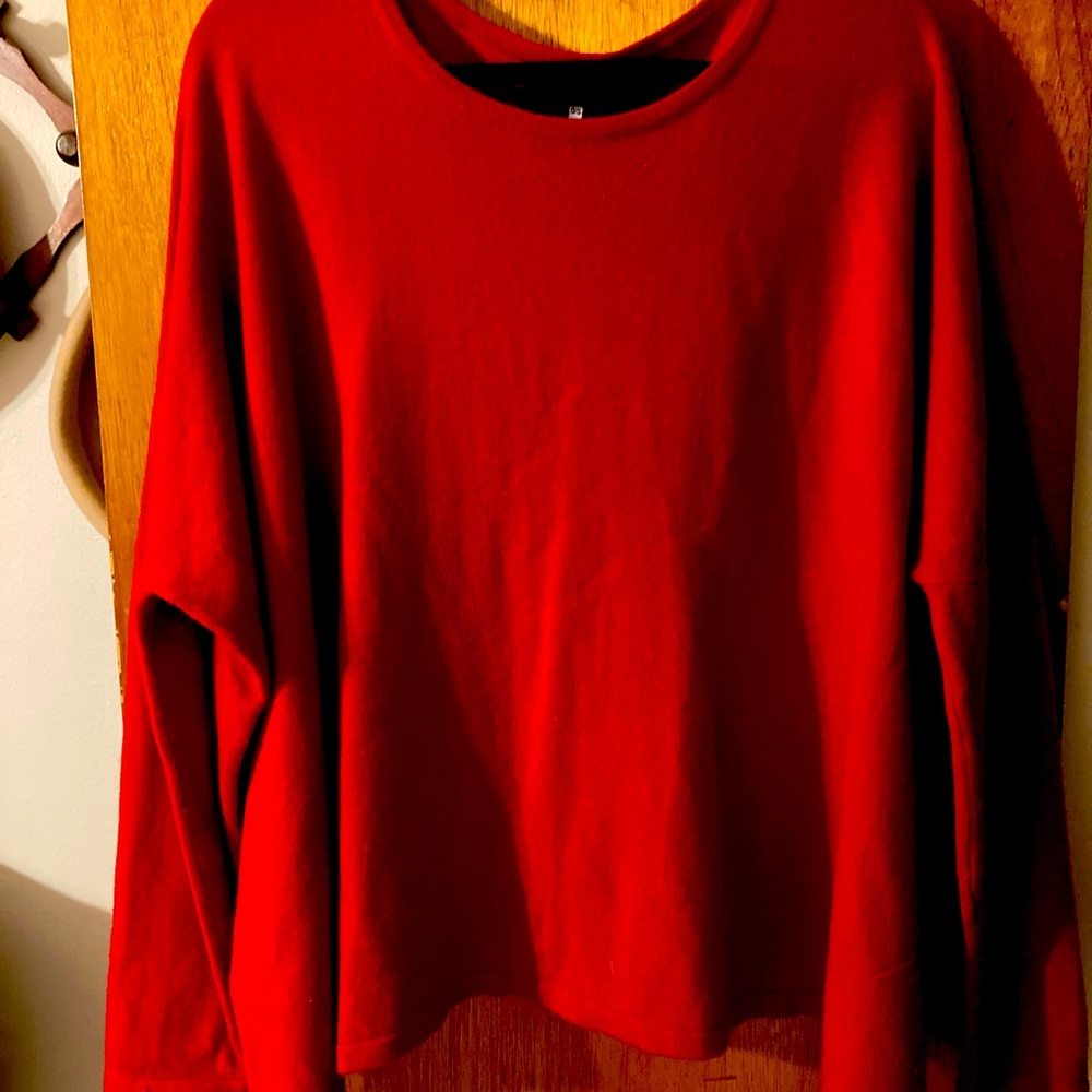 Eskandar red cashmere sweater
